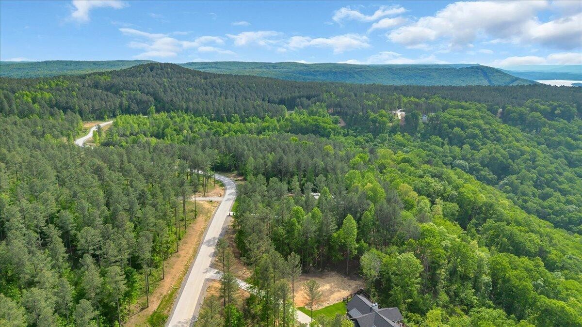 1755 Birds Eye Way Guild, TN 37340 - Photo 11 of 31