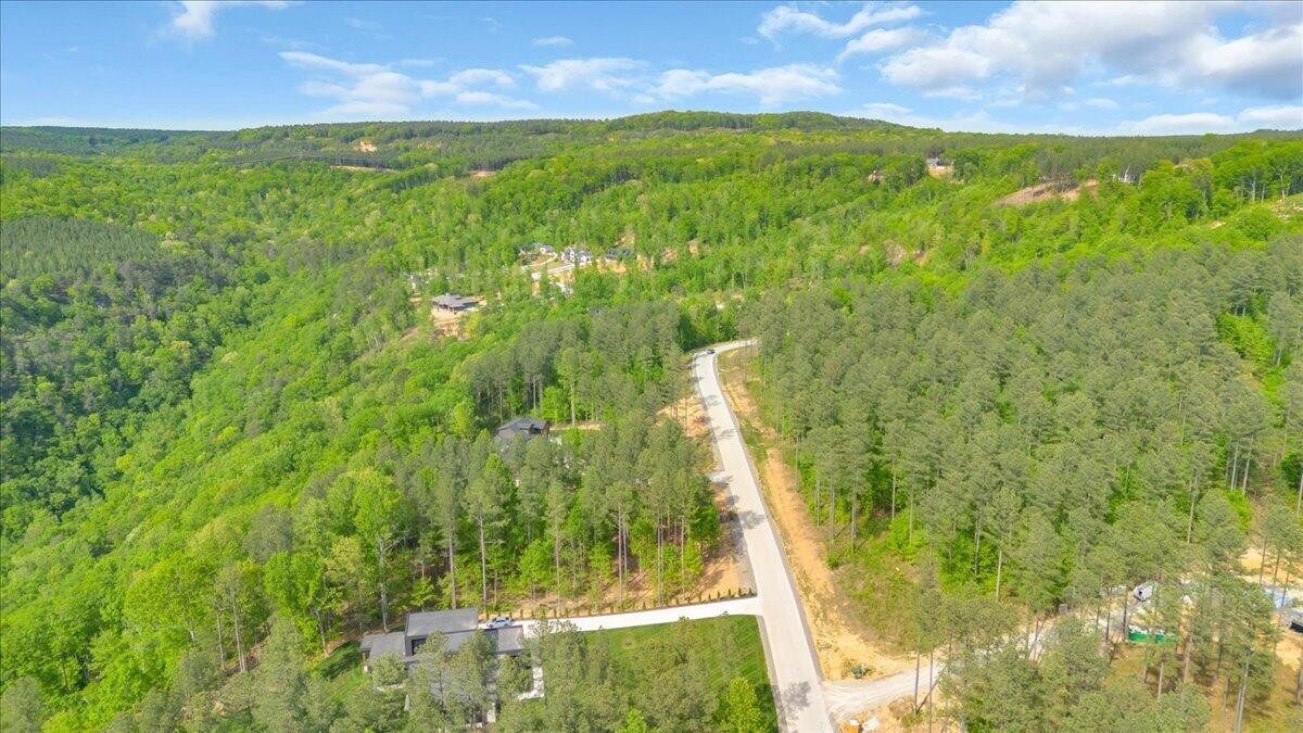 1755 Birds Eye Way Guild, TN 37340 - Photo 12 of 31
