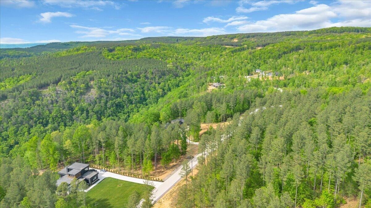 1755 Birds Eye Way Guild, TN 37340 - Photo 13 of 31