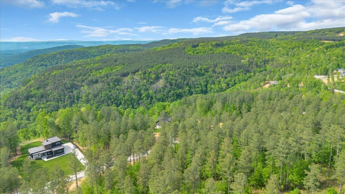 1755 Birds Eye Way Guild, TN 37340 - Photo 14 of 31
