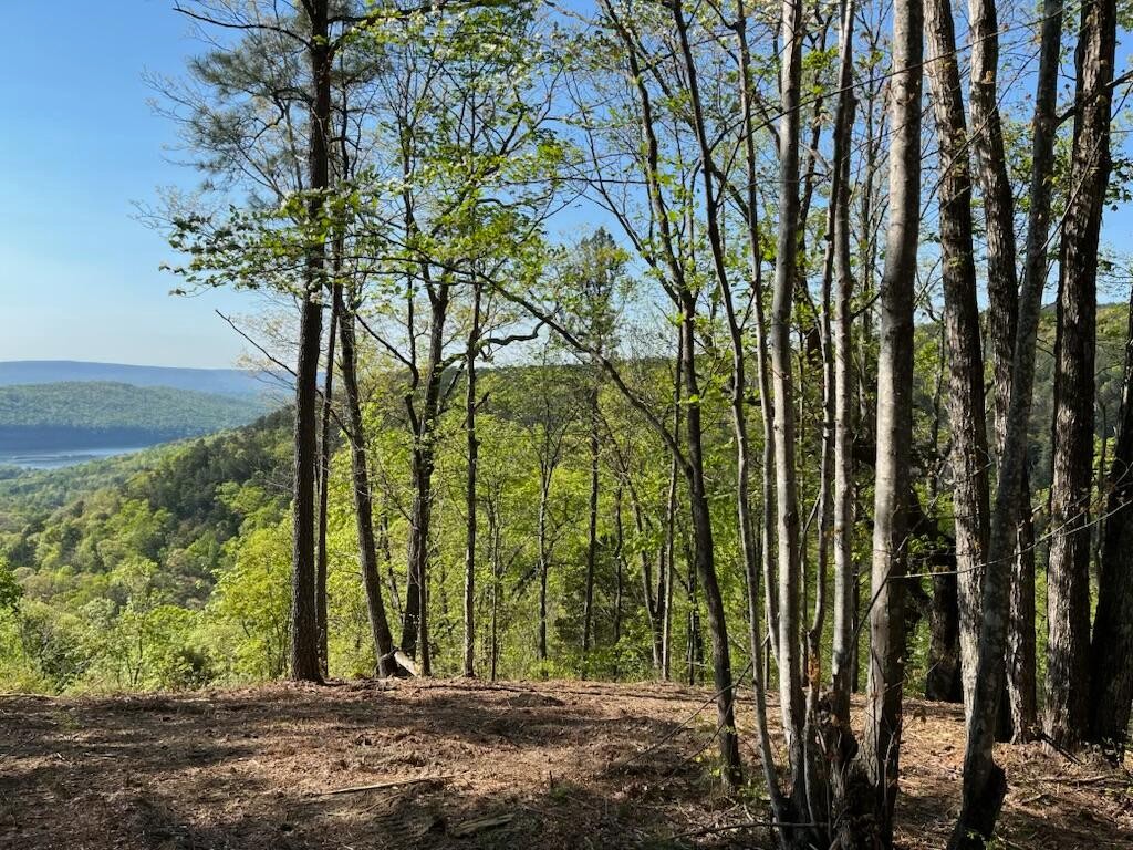 1755 Birds Eye Way Guild, TN 37340 - Photo 18 of 31