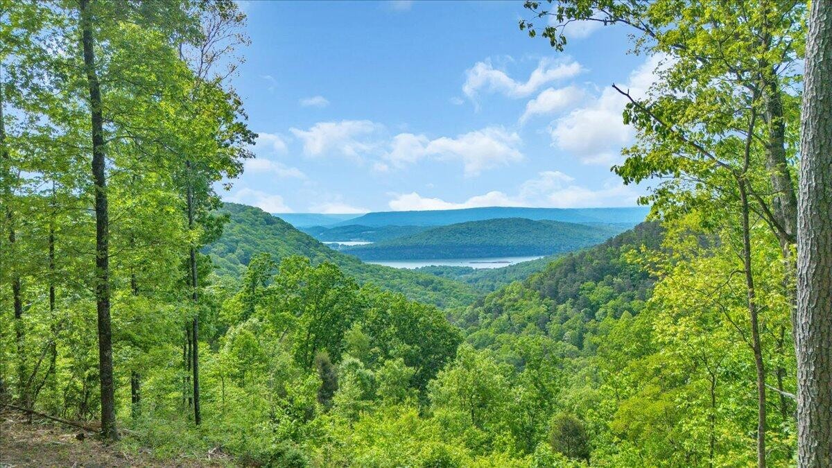 1755 Birds Eye Way Guild, TN 37340 - Photo 2 of 31