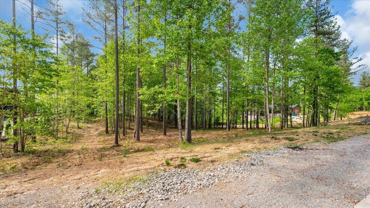 1755 Birds Eye Way Guild, TN 37340 - Photo 3 of 31