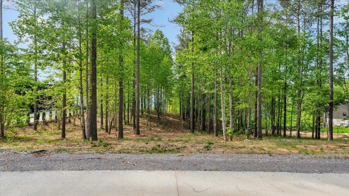 1755 Birds Eye Way Guild, TN 37340 - Photo 4 of 31