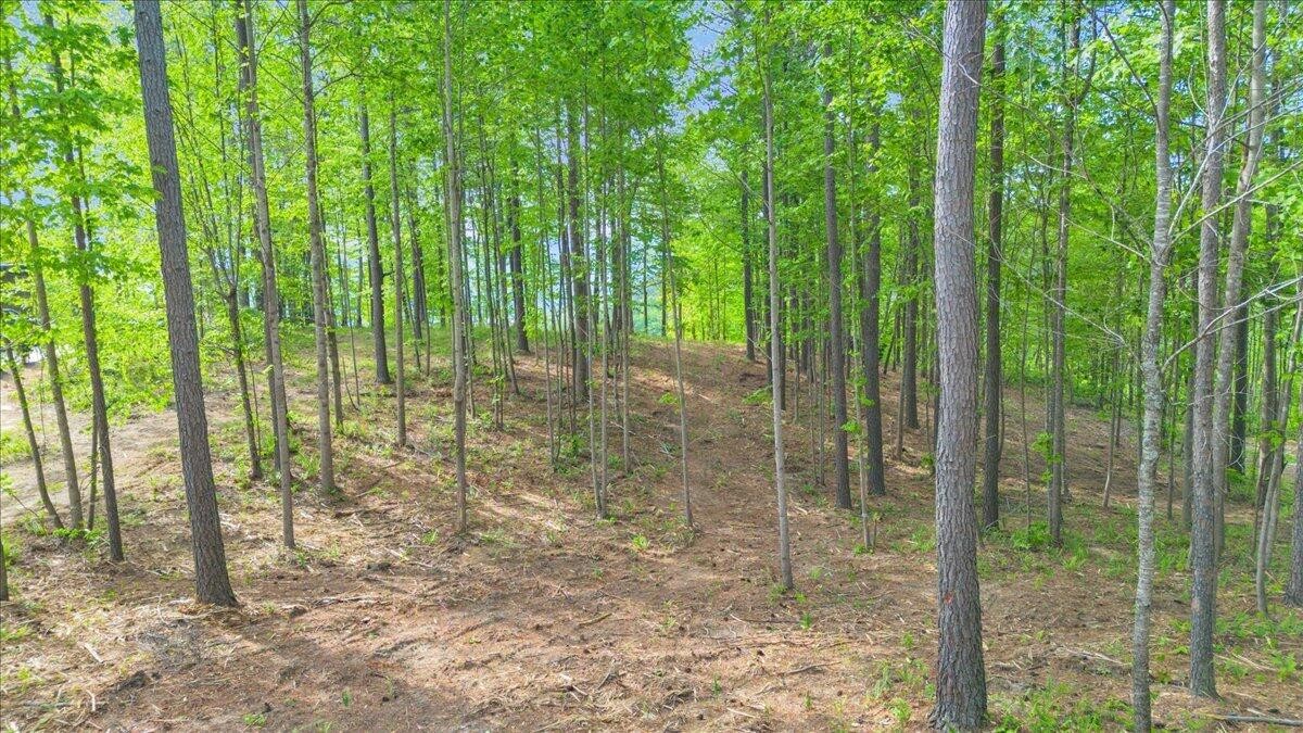 1755 Birds Eye Way Guild, TN 37340 - Photo 5 of 31