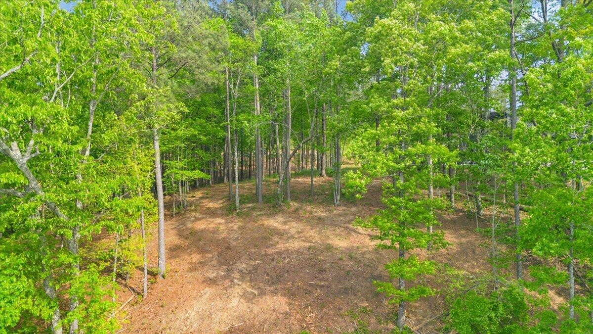 1755 Birds Eye Way Guild, TN 37340 - Photo 6 of 31