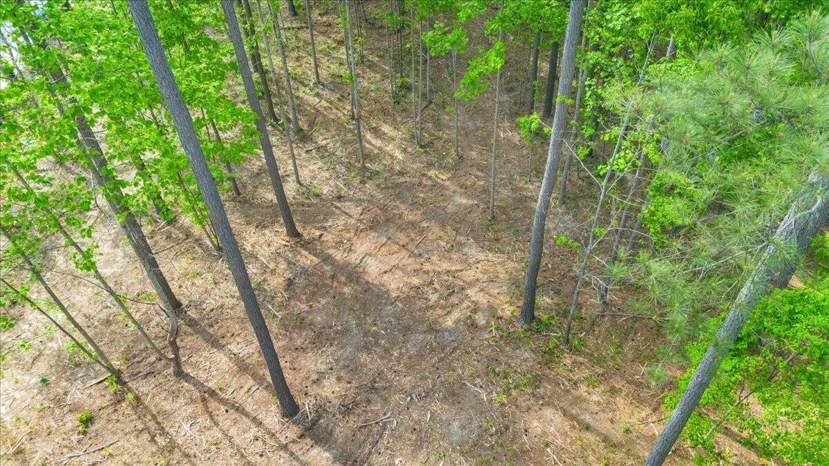 1755 Birds Eye Way Guild, TN 37340 - Photo 7 of 31