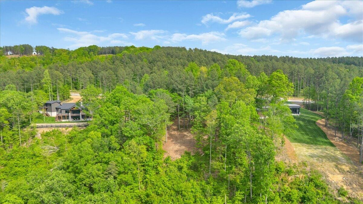 1755 Birds Eye Way Guild, TN 37340 - Photo 8 of 31