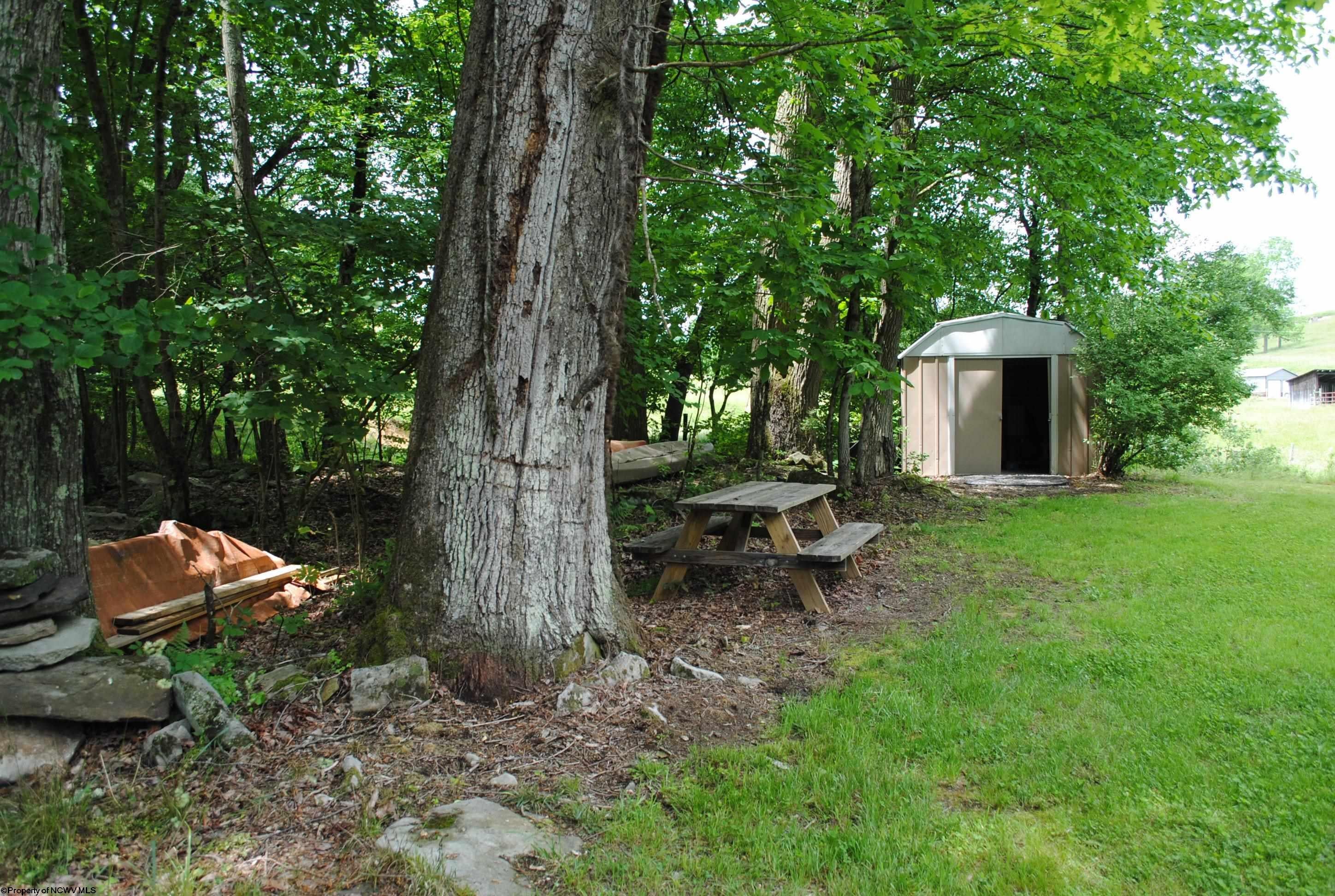 918 4h Camp Road Philippi, WV 26416 - Photo 13 of 17 Gallery Image 13