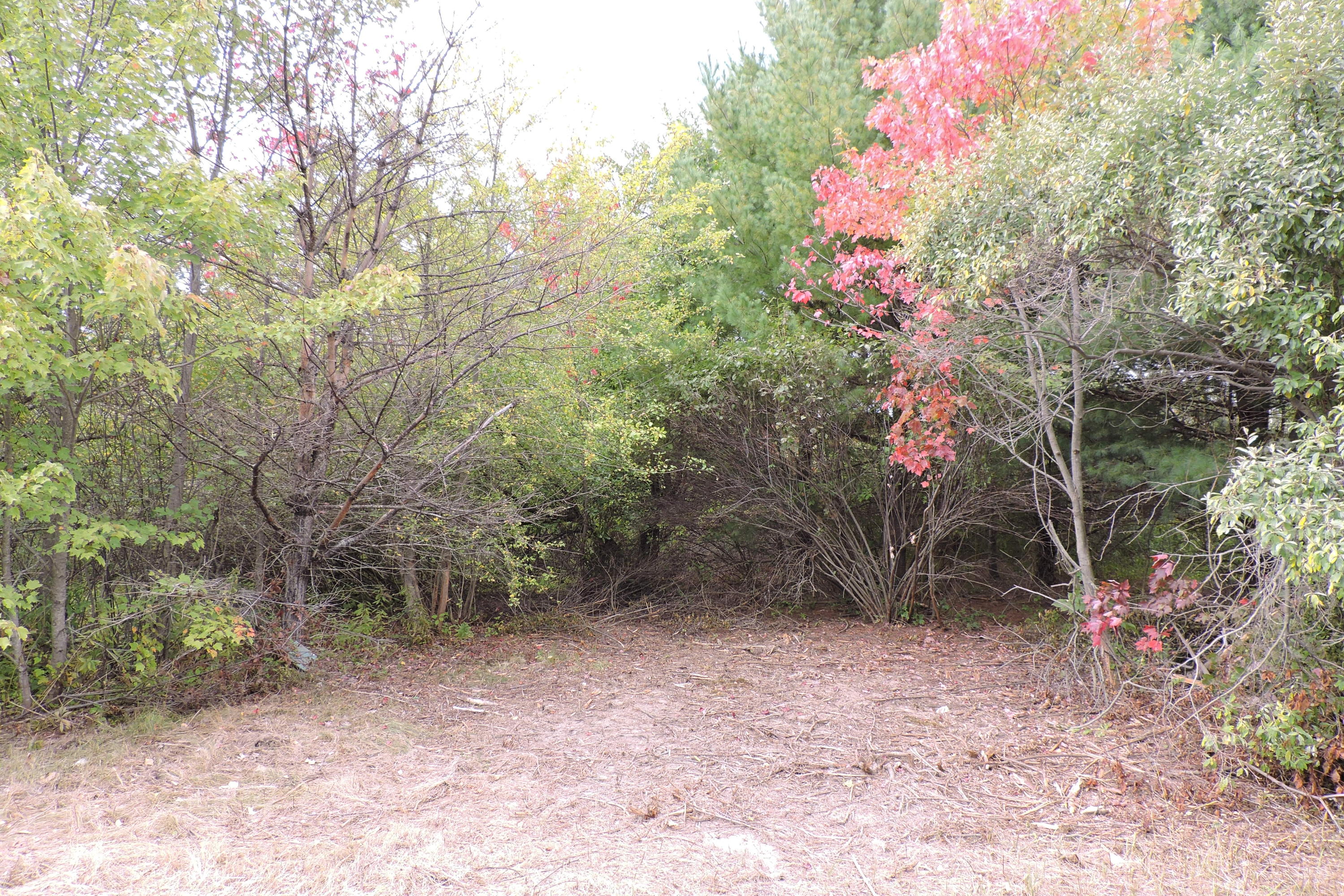 1 Pond Road Litchfield, ME 04350 - Photo 1 of 4 DSCN2994