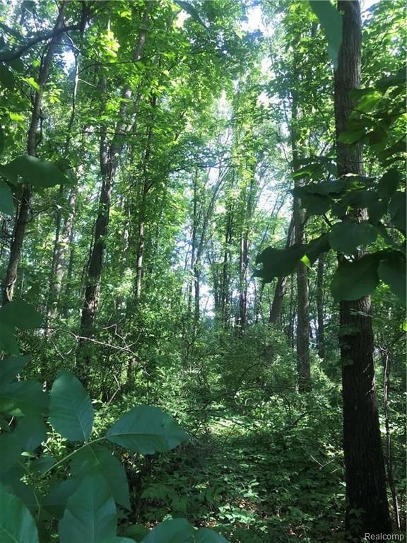 Lot 67 Prairie Rose Howell, MI 48843 - Photo 11 of 16