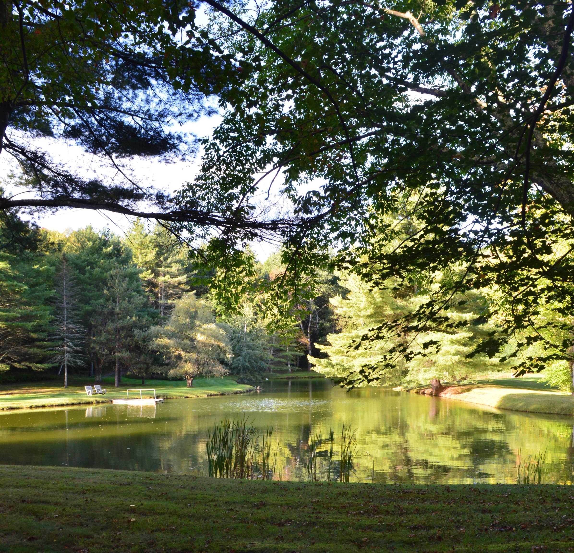 1361 Rupert Hill Road Pawlet, VT 05761 - Photo 10 of 40 Gallery Image 10