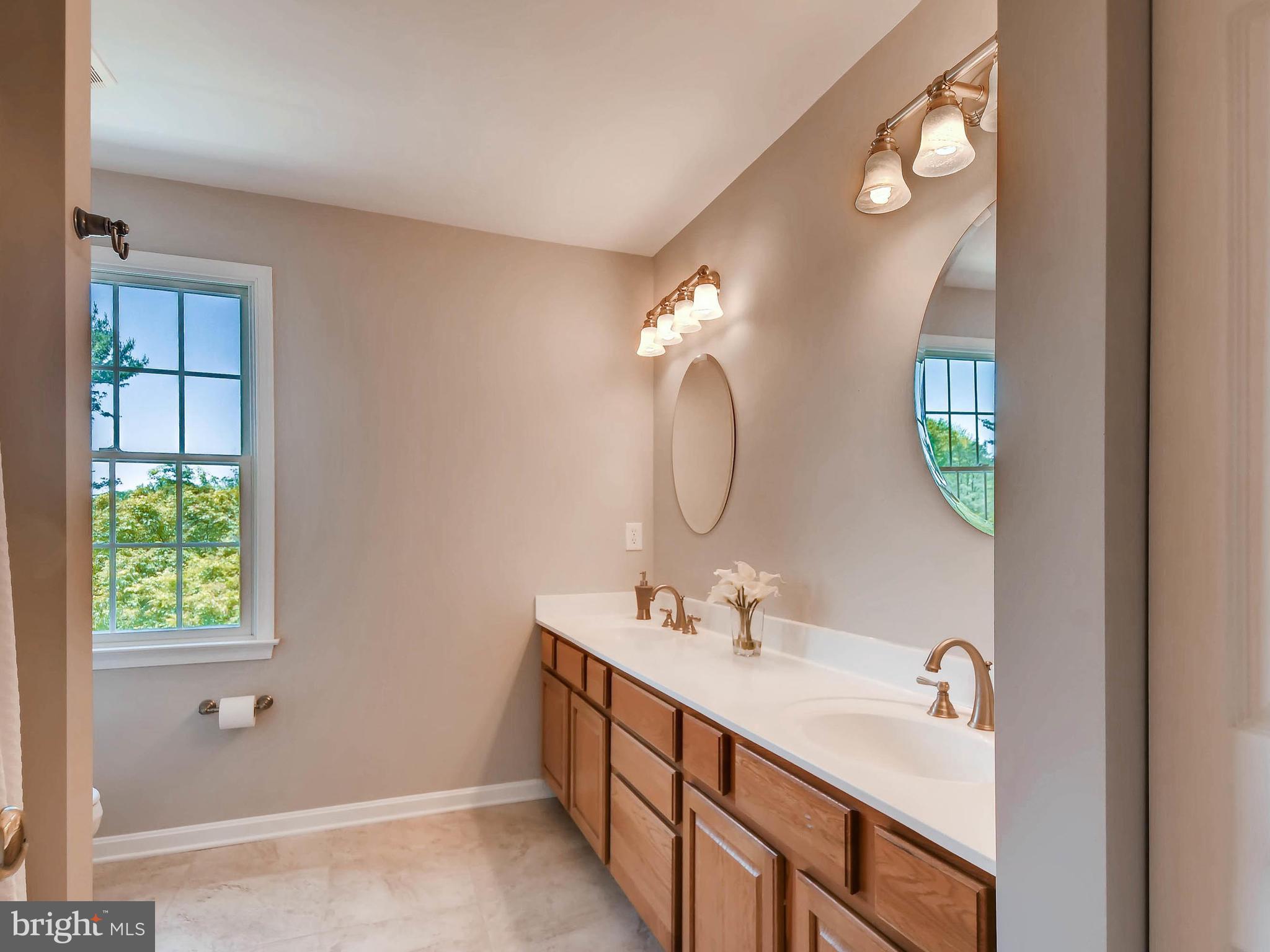 13701 Bardon Road Phoenix, MD 21131 - Photo 21 of 30 a bathroom with a double vanity sink and a mirror