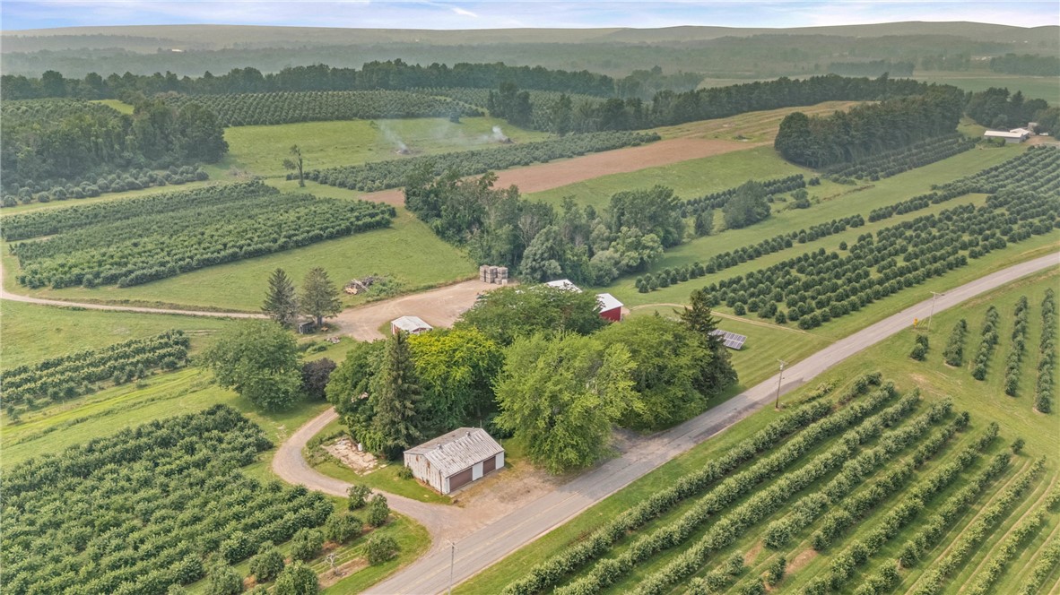 4959 Fish Farm Road Sodus, NY 14551 - Photo 42 of 43 Gallery Image 42