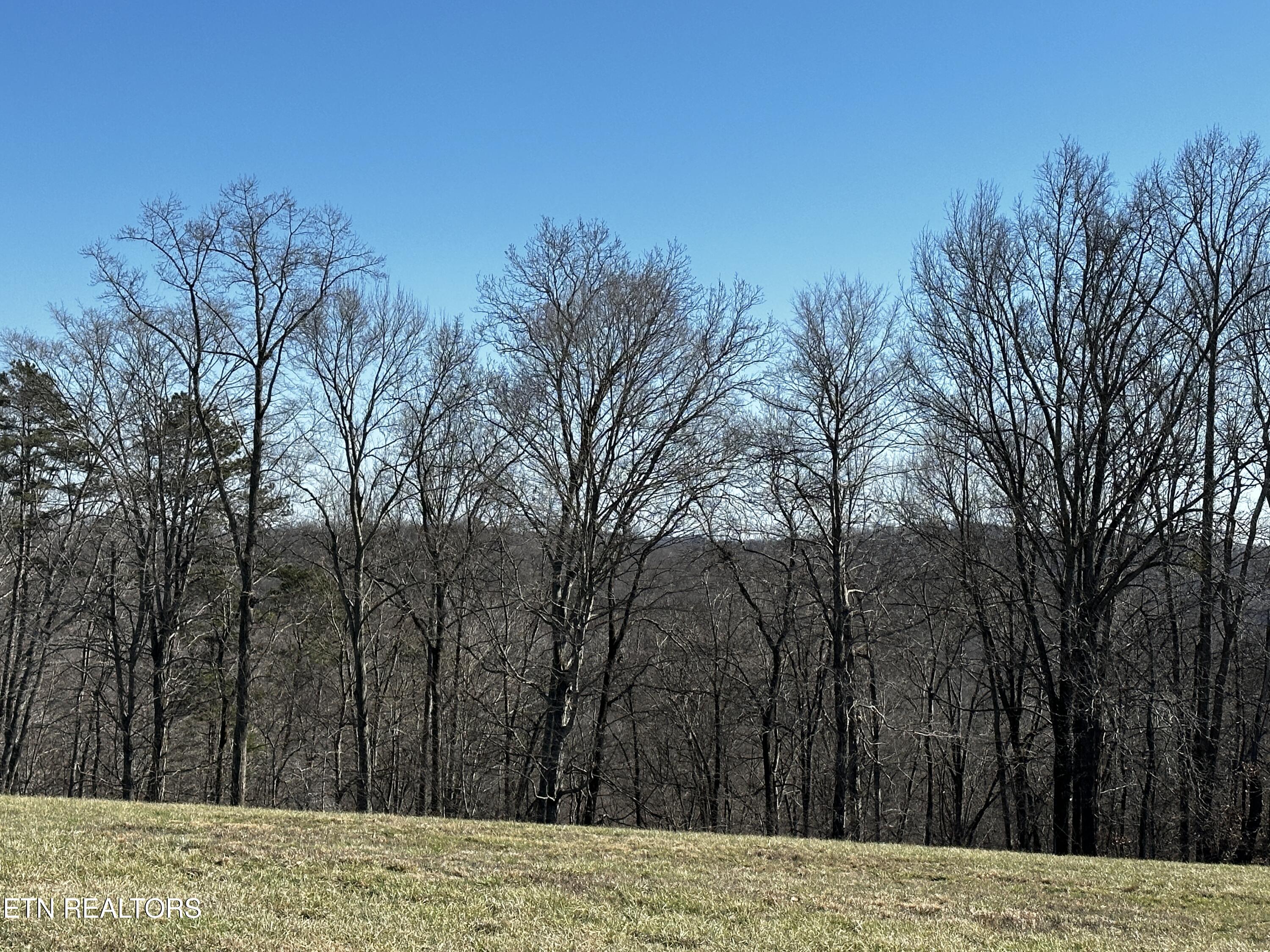 535 Prestige Ridge La Follette, TN 37766 - Photo 13 of 31 IMG_2115