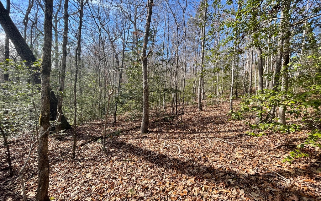 5.9-ac Voylestown Road Morganton, GA 30560 - Photo 21 of 22 Additional View