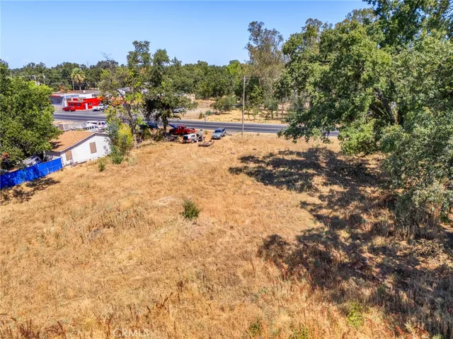a view of outdoor space with garden view and trees