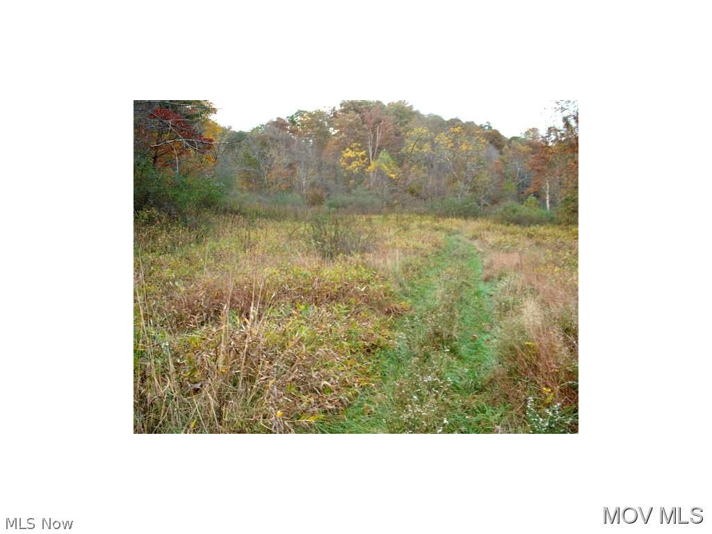 0 C Road St. Marys, WV 26170 - Photo 2 of 8