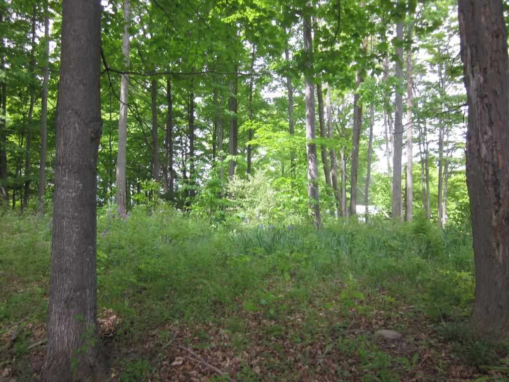 7258 Dundas Road Northwest Alden, MI 49612 - Photo 23 of 24 1785981-22.JPG