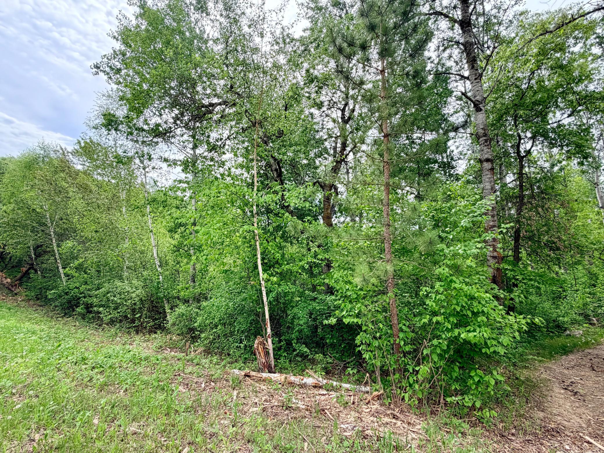 Tbd Half Moon Road Park Rapids, MN 56470 - Photo 11 of 12