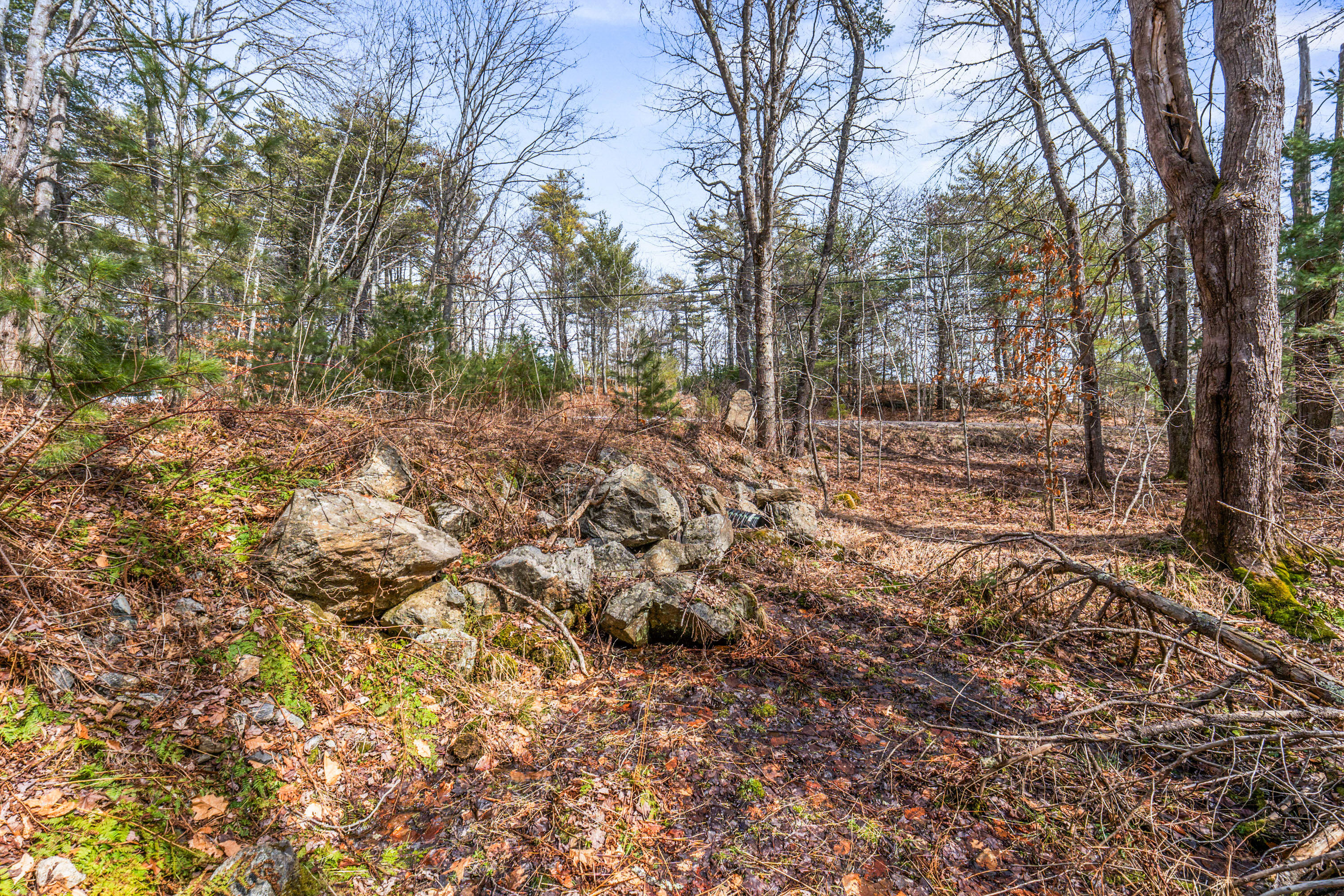 Lot 7-1 Captain John Parker Road Phippsburg, ME 04562 - Photo 11 of 47 Lot 7-1 Captain John Parker Rd_0110