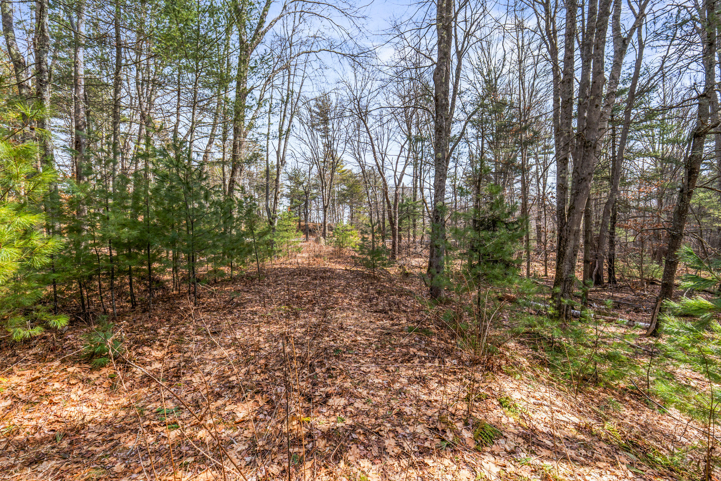 Lot 7-1 Captain John Parker Road Phippsburg, ME 04562 - Photo 12 of 47 Lot 7-1 Captain John Parker Rd_0111
