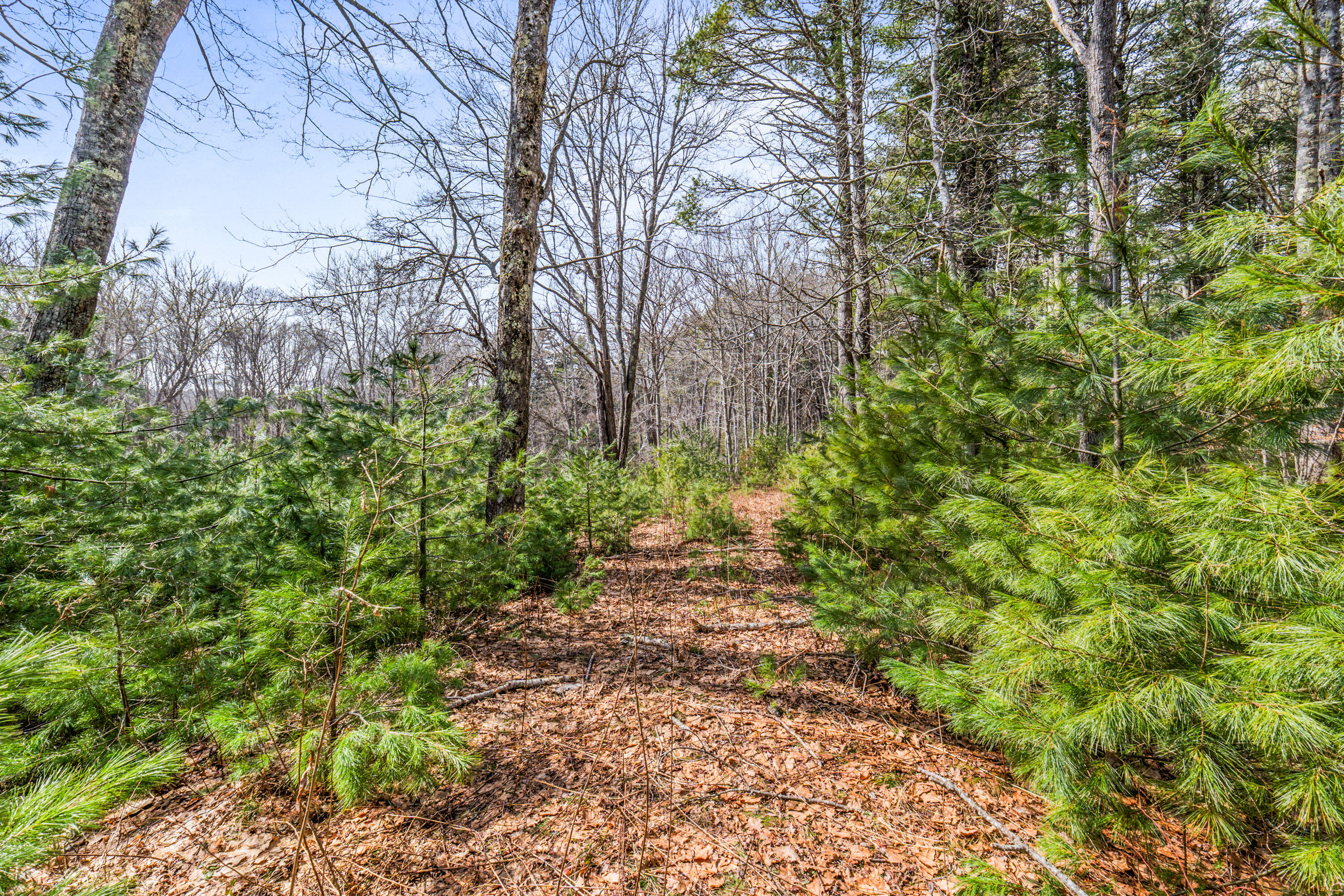 Lot 7-1 Captain John Parker Road Phippsburg, ME 04562 - Photo 13 of 47 Lot 7-1 Captain John Parker Rd_0112