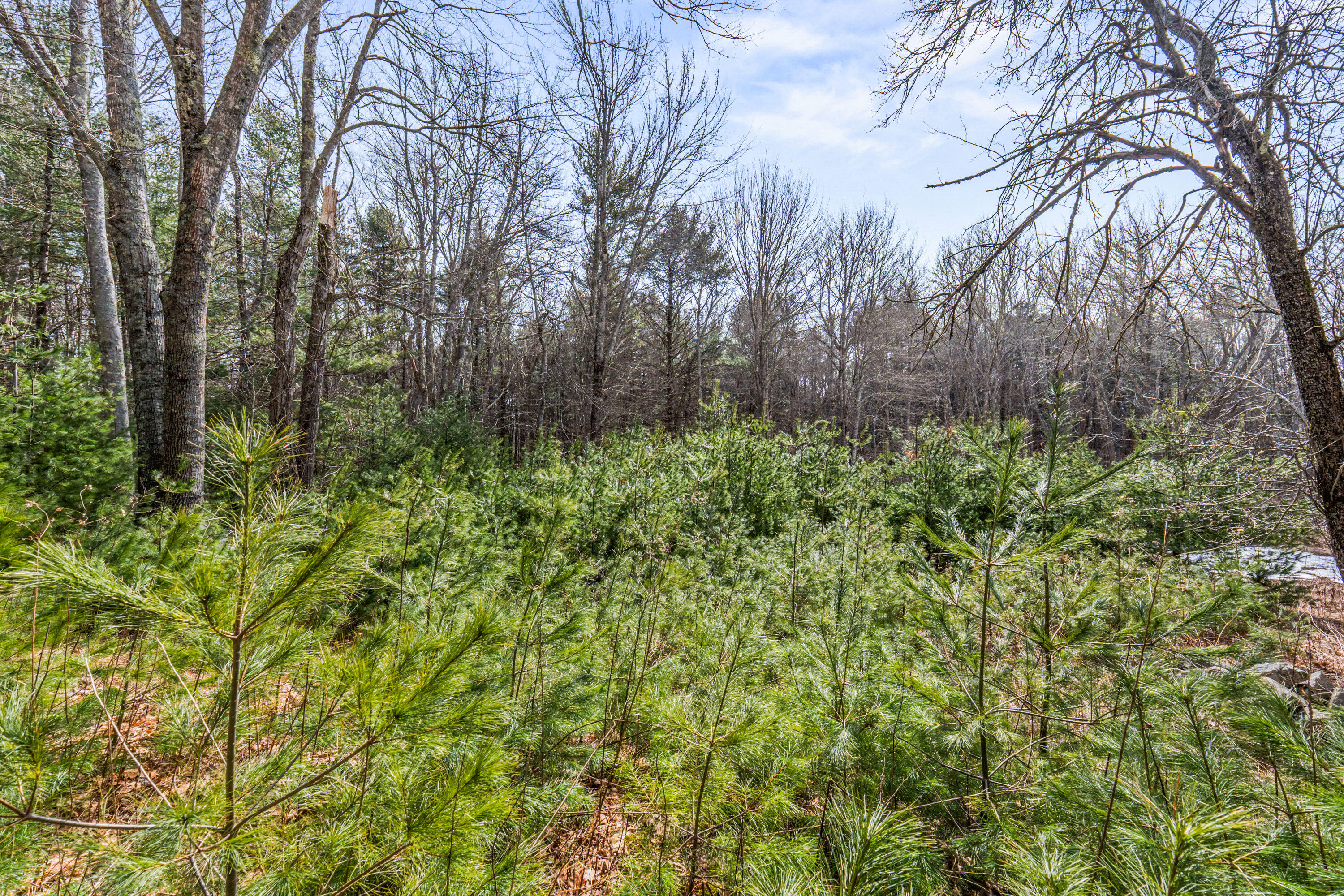 Lot 7-1 Captain John Parker Road Phippsburg, ME 04562 - Photo 14 of 47 Lot 7-1 Captain John Parker Rd_0113