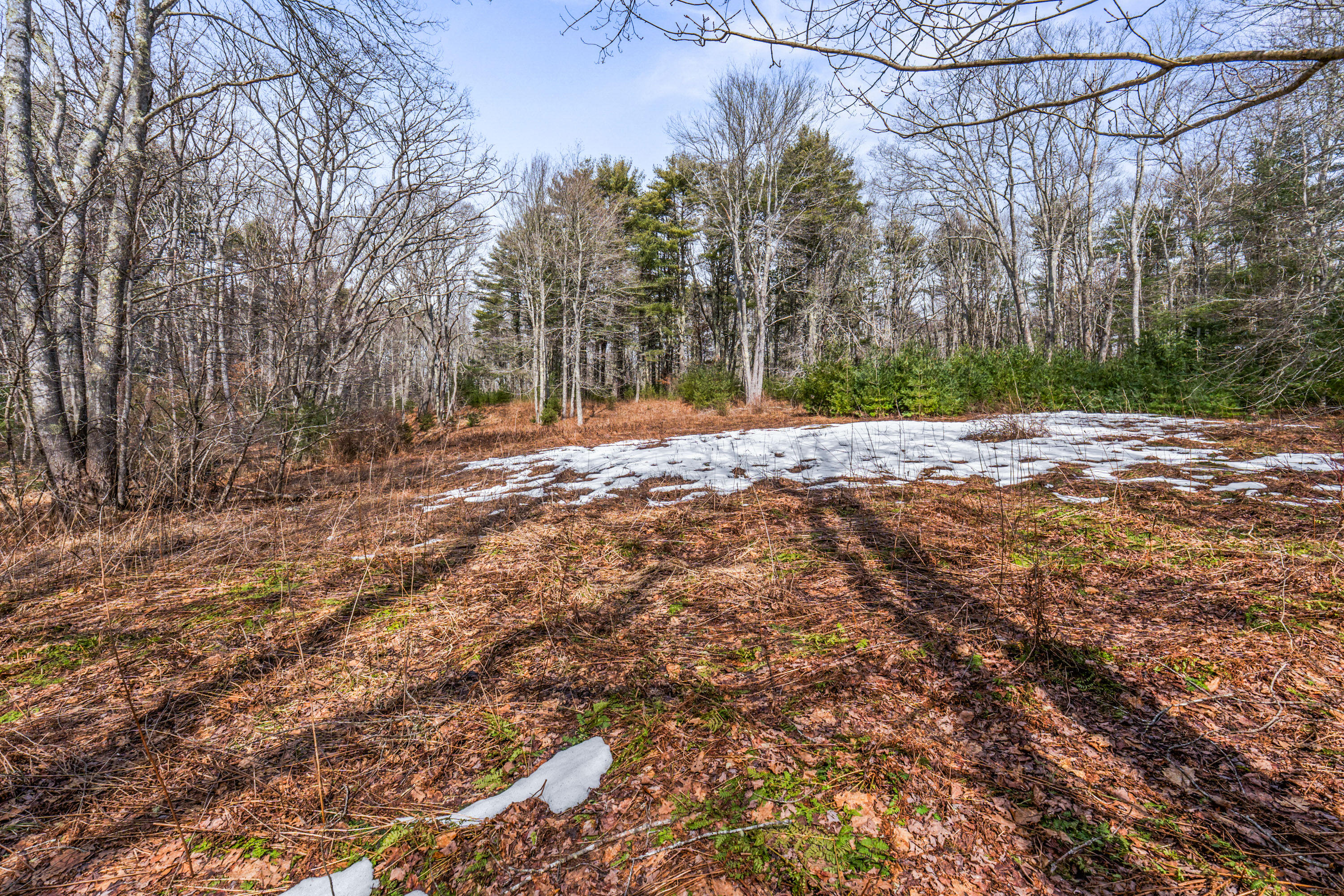 Lot 7-1 Captain John Parker Road Phippsburg, ME 04562 - Photo 16 of 47 Lot 7-1 Captain John Parker Rd_0115