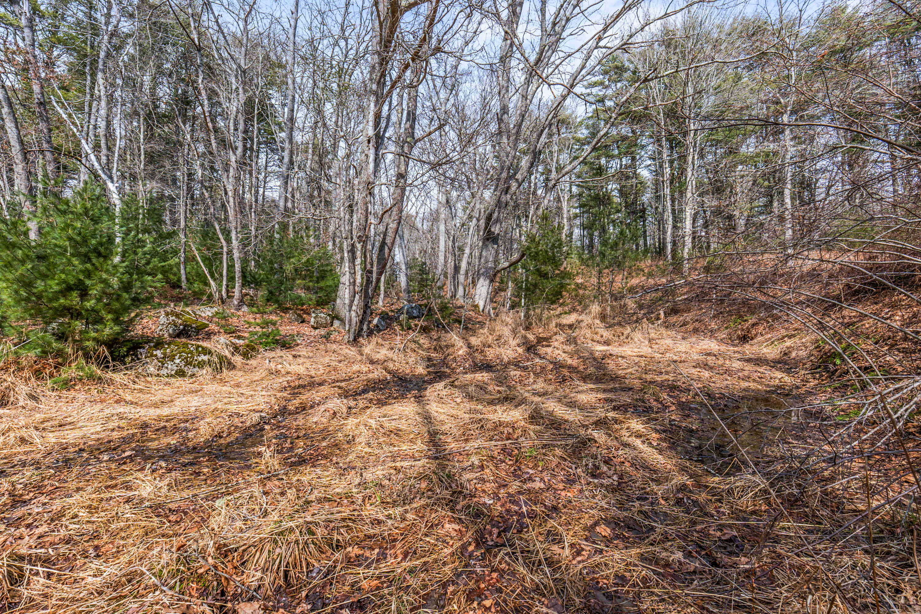 Lot 7-1 Captain John Parker Road Phippsburg, ME 04562 - Photo 17 of 47 Lot 7-1 Captain John Parker Rd_0116