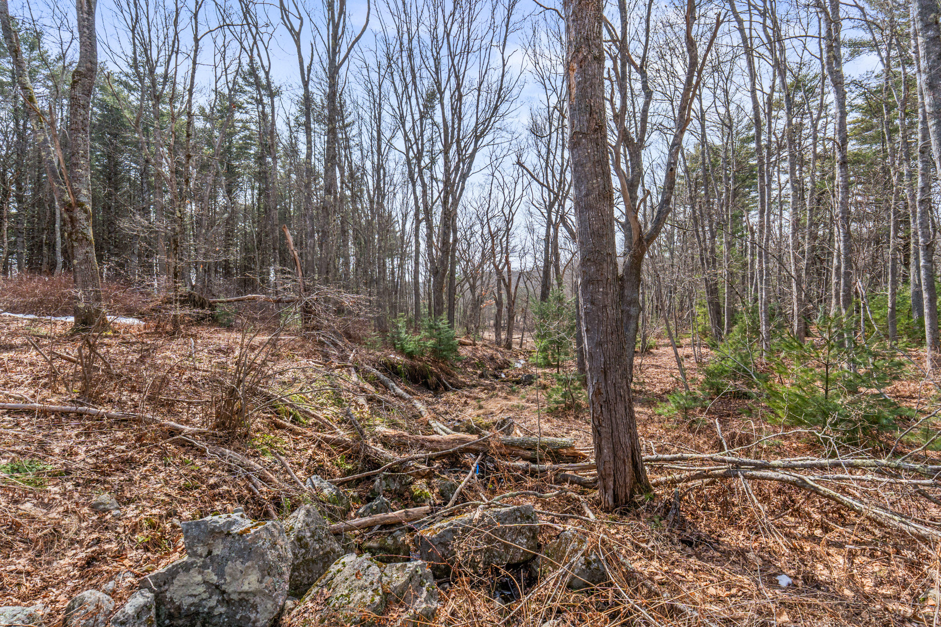 Lot 7-1 Captain John Parker Road Phippsburg, ME 04562 - Photo 18 of 47 Lot 7-1 Captain John Parker Rd_0117