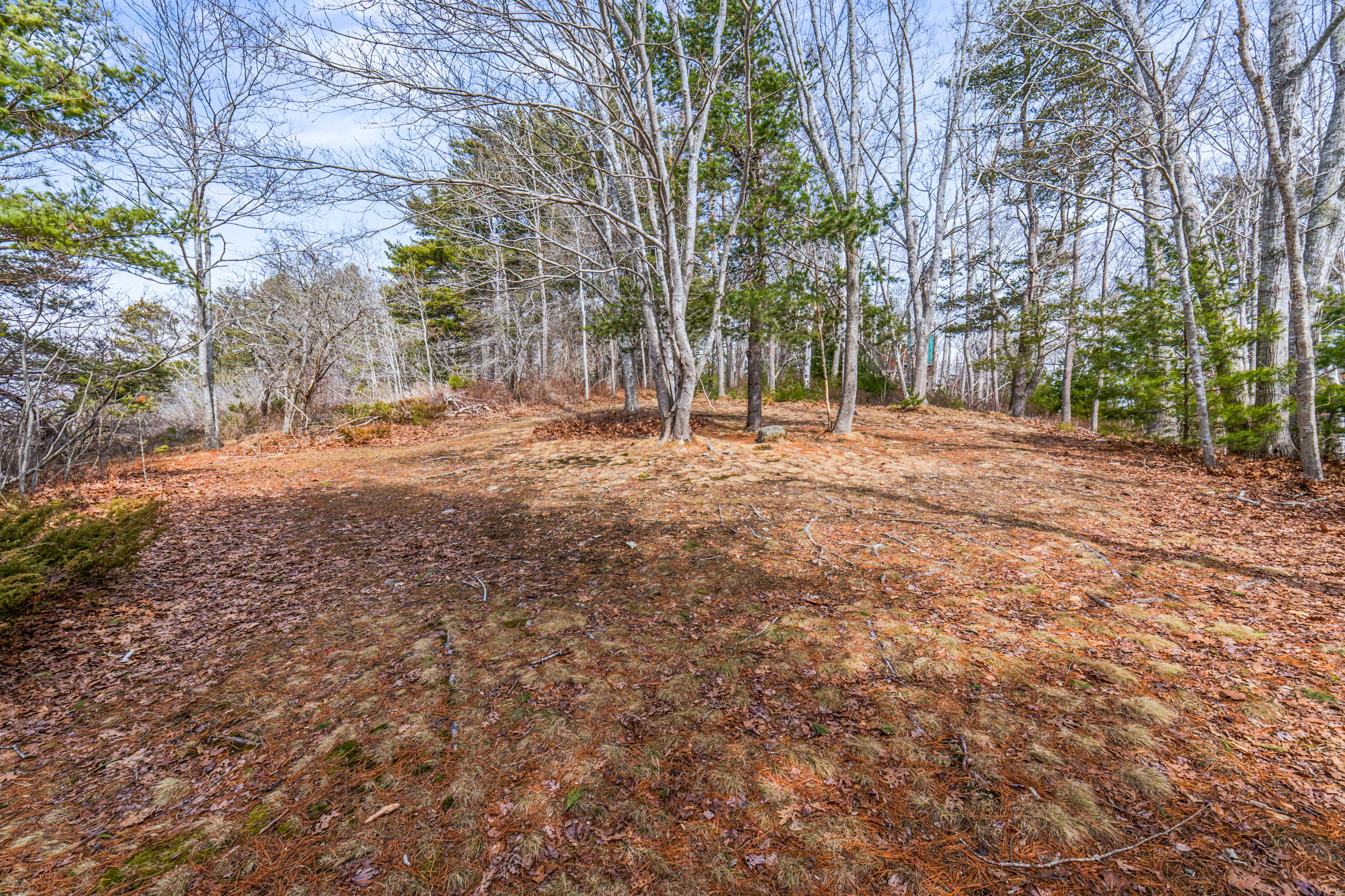 Lot 7-1 Captain John Parker Road Phippsburg, ME 04562 - Photo 34 of 47 Lot 7-1 Captain John Parker Rd_0133