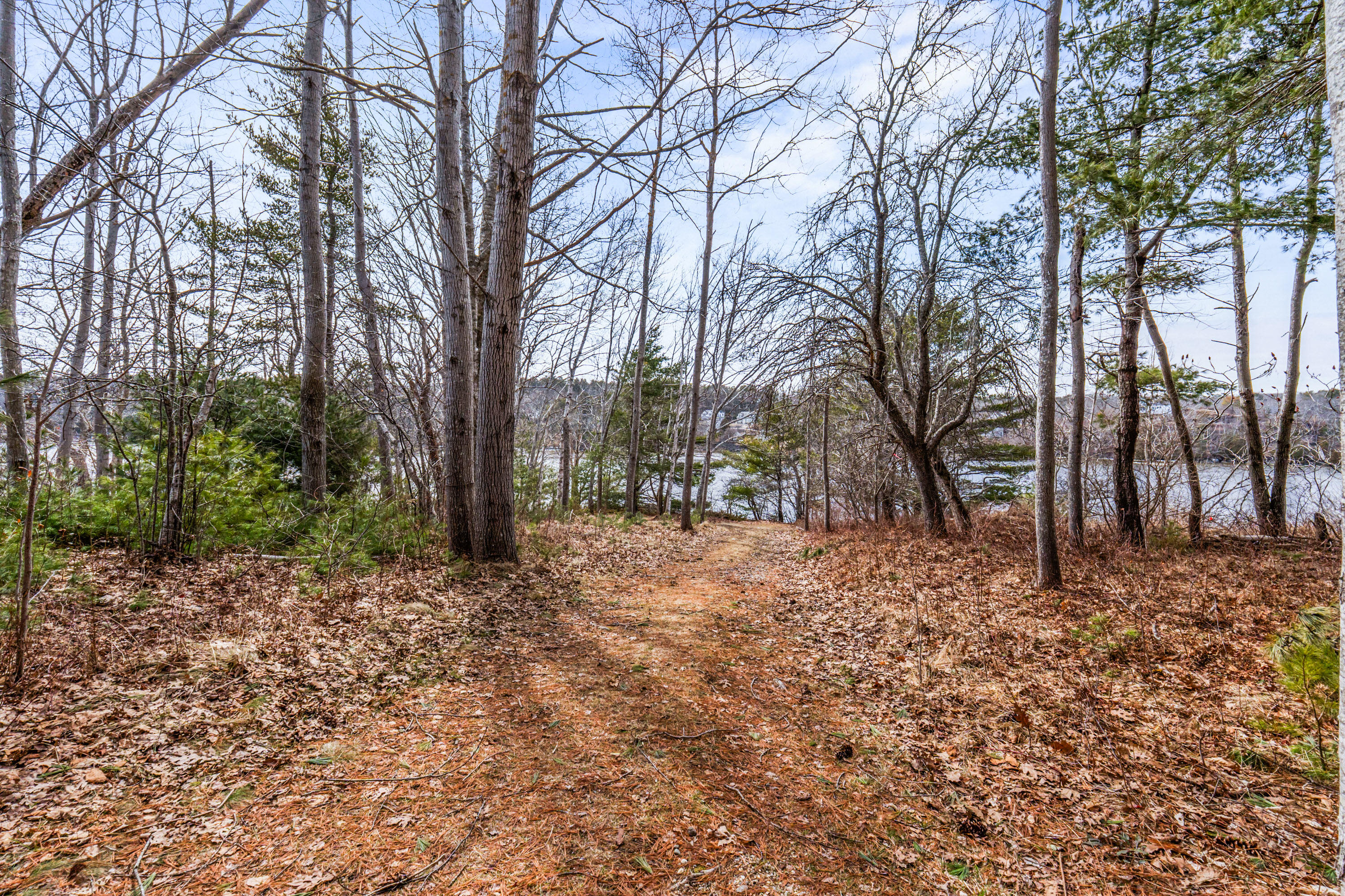 Lot 7-1 Captain John Parker Road Phippsburg, ME 04562 - Photo 37 of 47 Lot 7-1 Captain John Parker Rd_0136