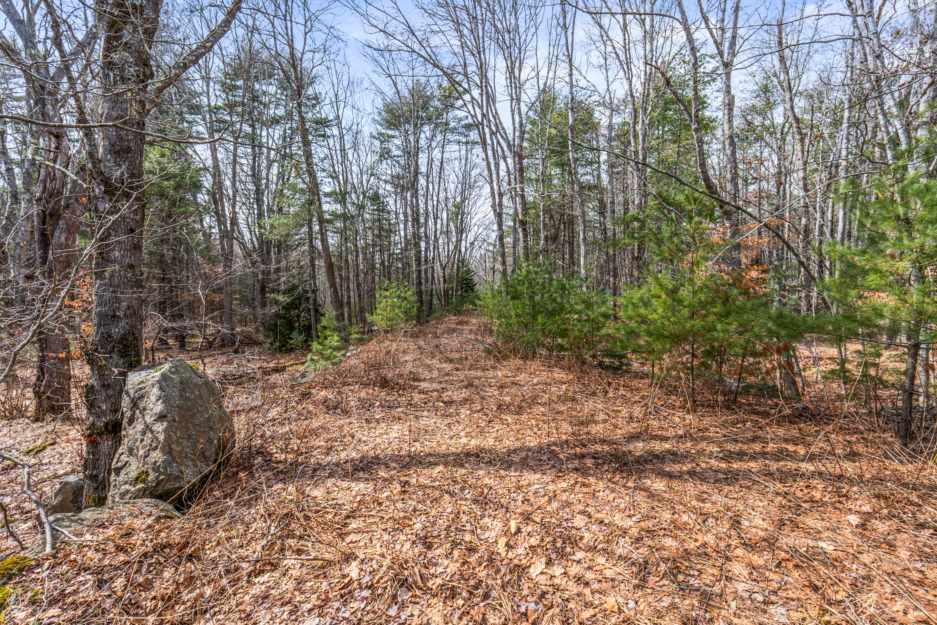 Lot 7-1 Captain John Parker Road Phippsburg, ME 04562 - Photo 9 of 47 Lot 7-1 Captain John Parker Rd_0108