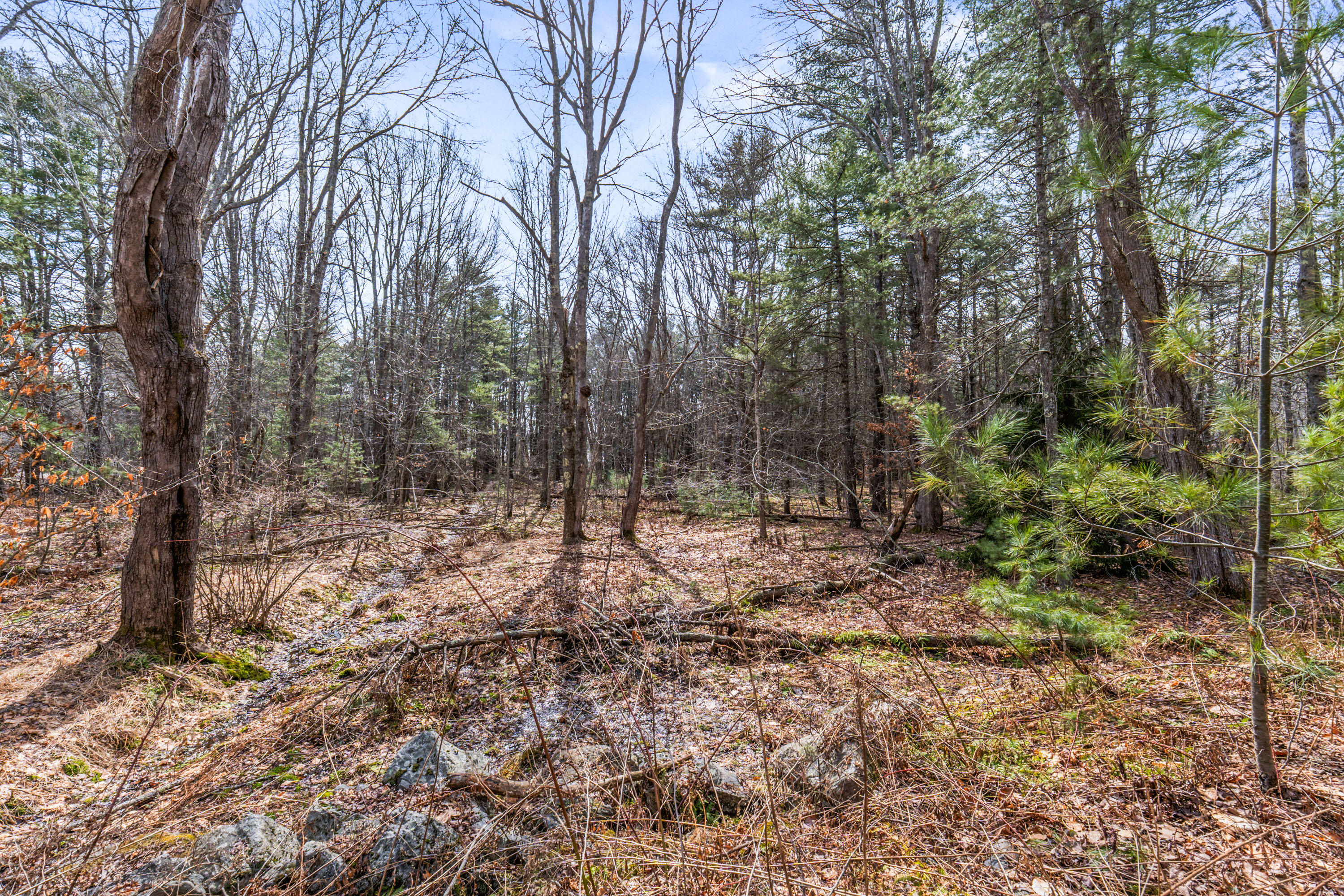 Lot 7-1 Captain John Parker Road Phippsburg, ME 04562 - Photo 10 of 47 Lot 7-1 Captain John Parker Rd_0109