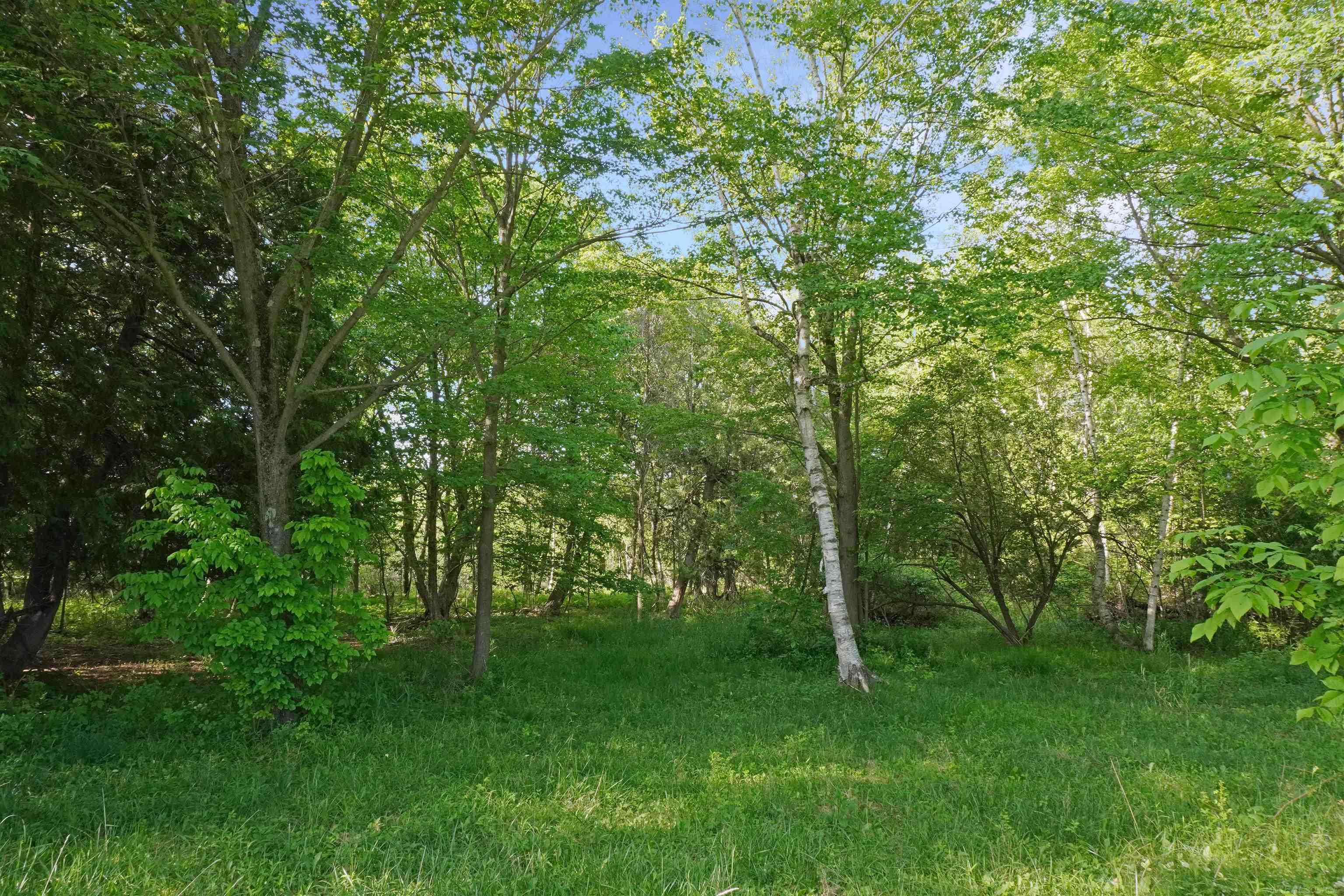 1385 North Blacks Corners Road Imlay City, MI 48444 - Photo 52 of 57