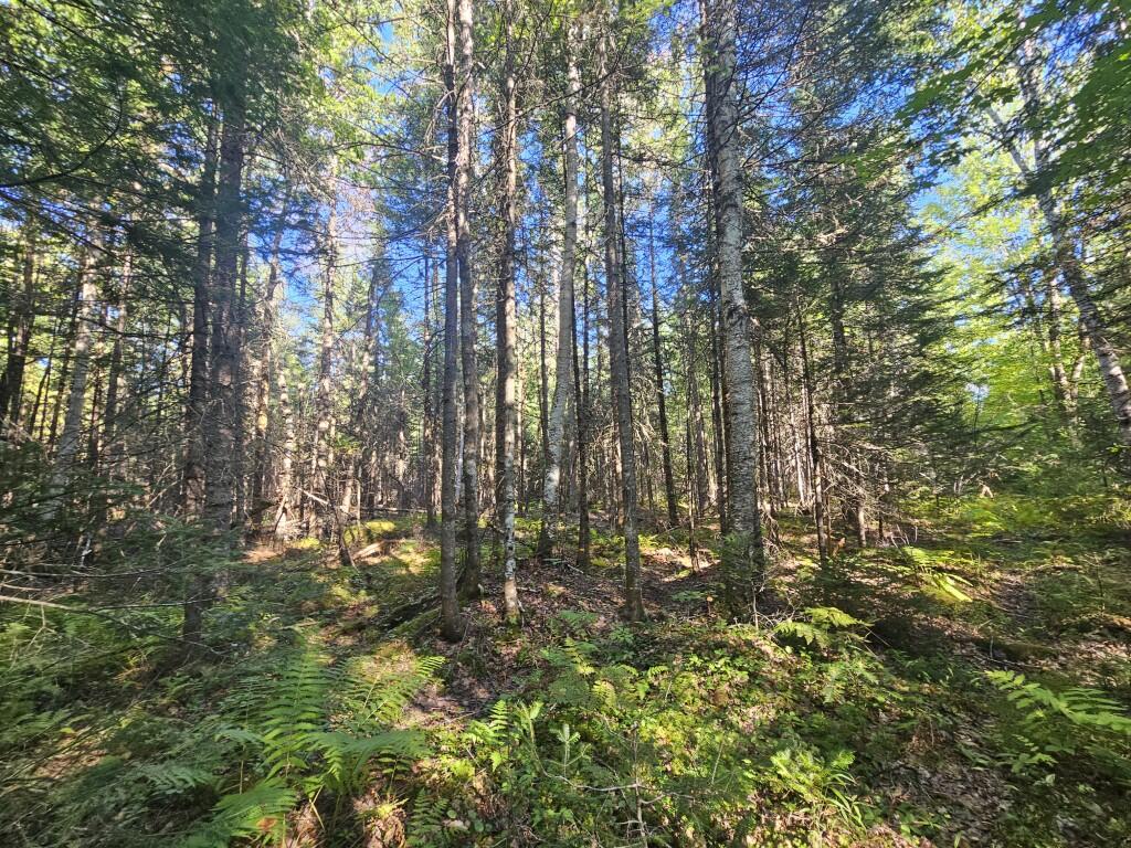 M11-l1 Wilder Davis Road Hudson, ME 04449 - Photo 28 of 53 20260907_155456