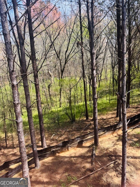 3279 Tommy Dillard Road Monroe, GA 30656 - Photo 2 of 17