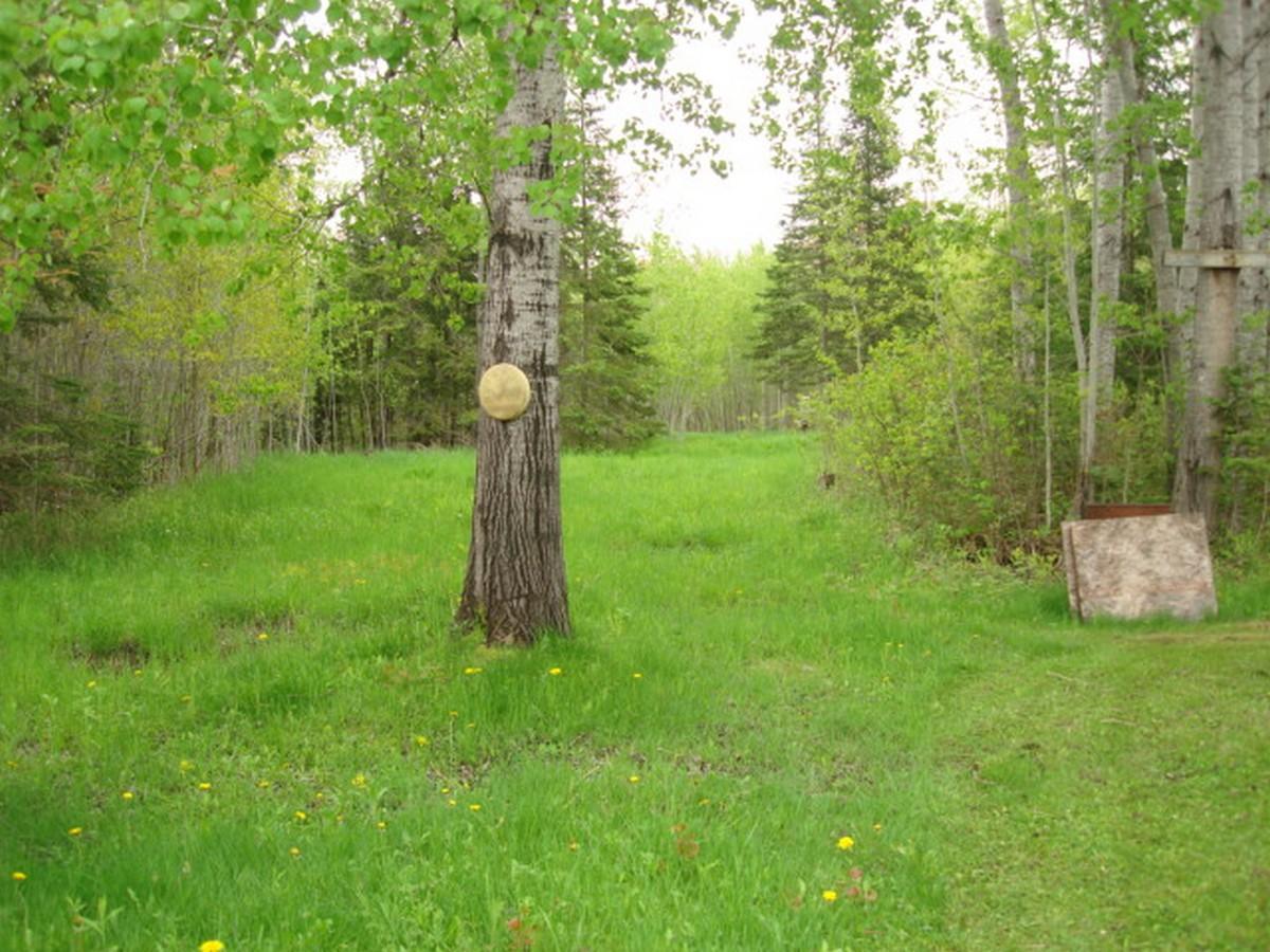 4215 Walker Road Moran, MI 49760 - Photo 5 of 19 Gallery Image 5