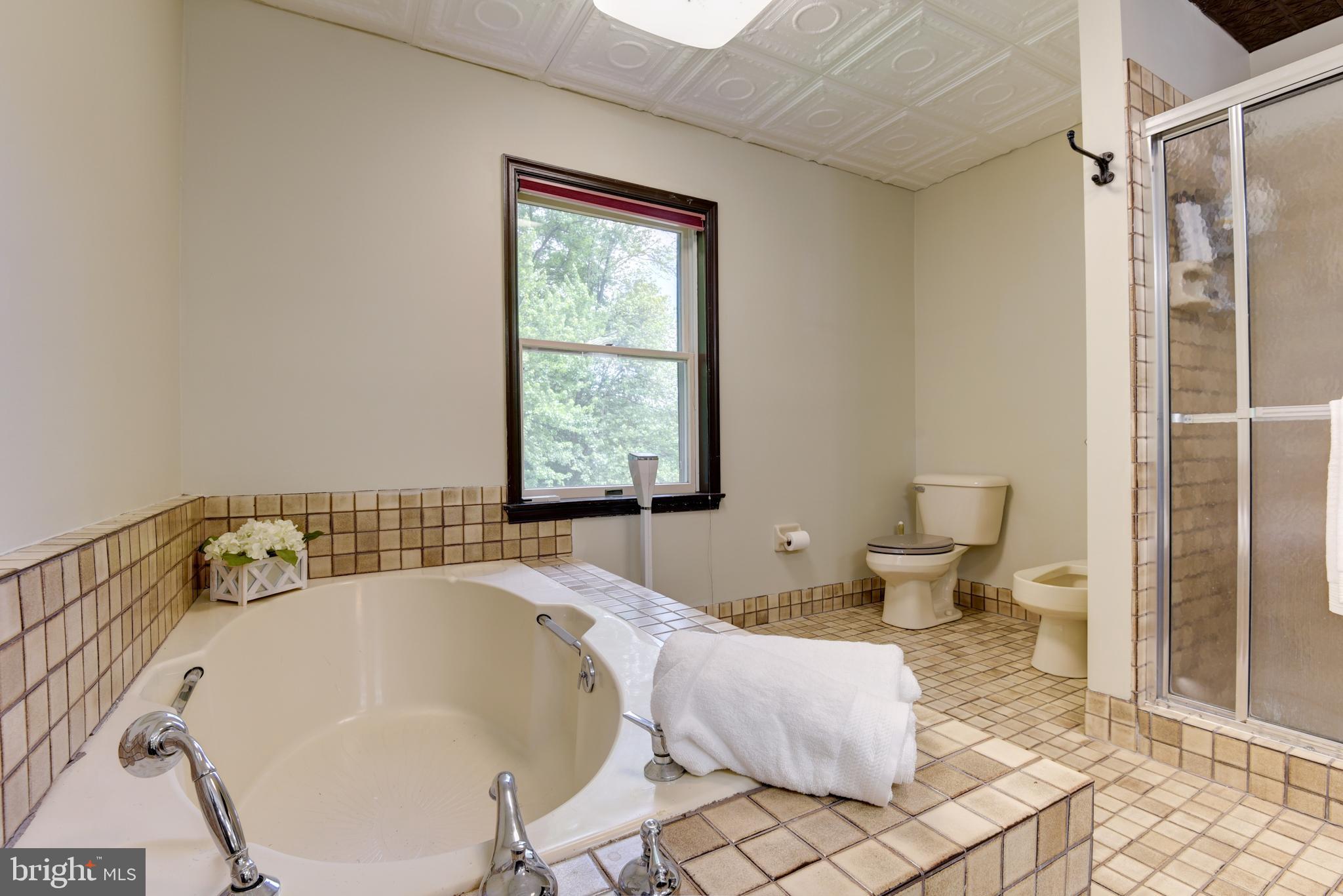 16120 Barnesville Road Boyds, MD 20841 - Photo 52 of 128 a spacious bathroom with a bathtub and toilet