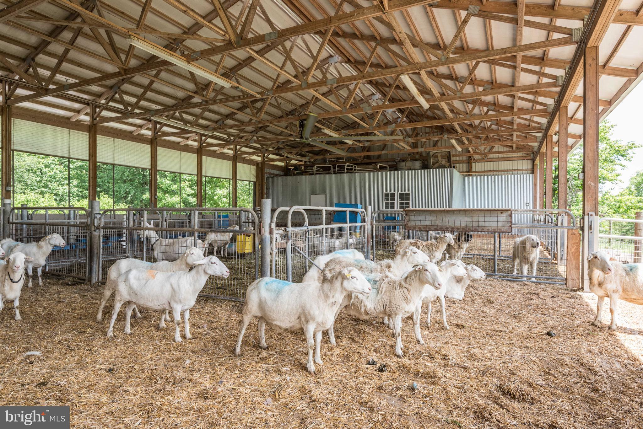 16120 Barnesville Road Boyds, MD 20841 - Photo 69 of 128