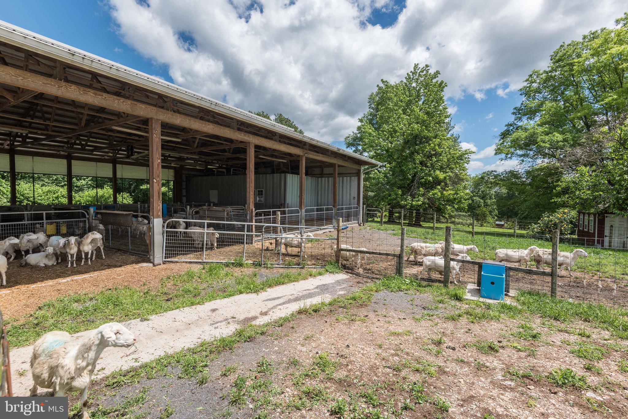 16120 Barnesville Road Boyds, MD 20841 - Photo 69 of 126