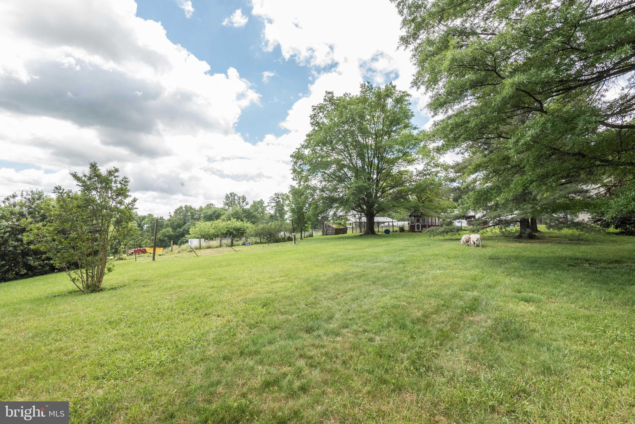 16120 Barnesville Road Boyds, MD 20841 - Photo 92 of 128 a view of field with trees in the background
