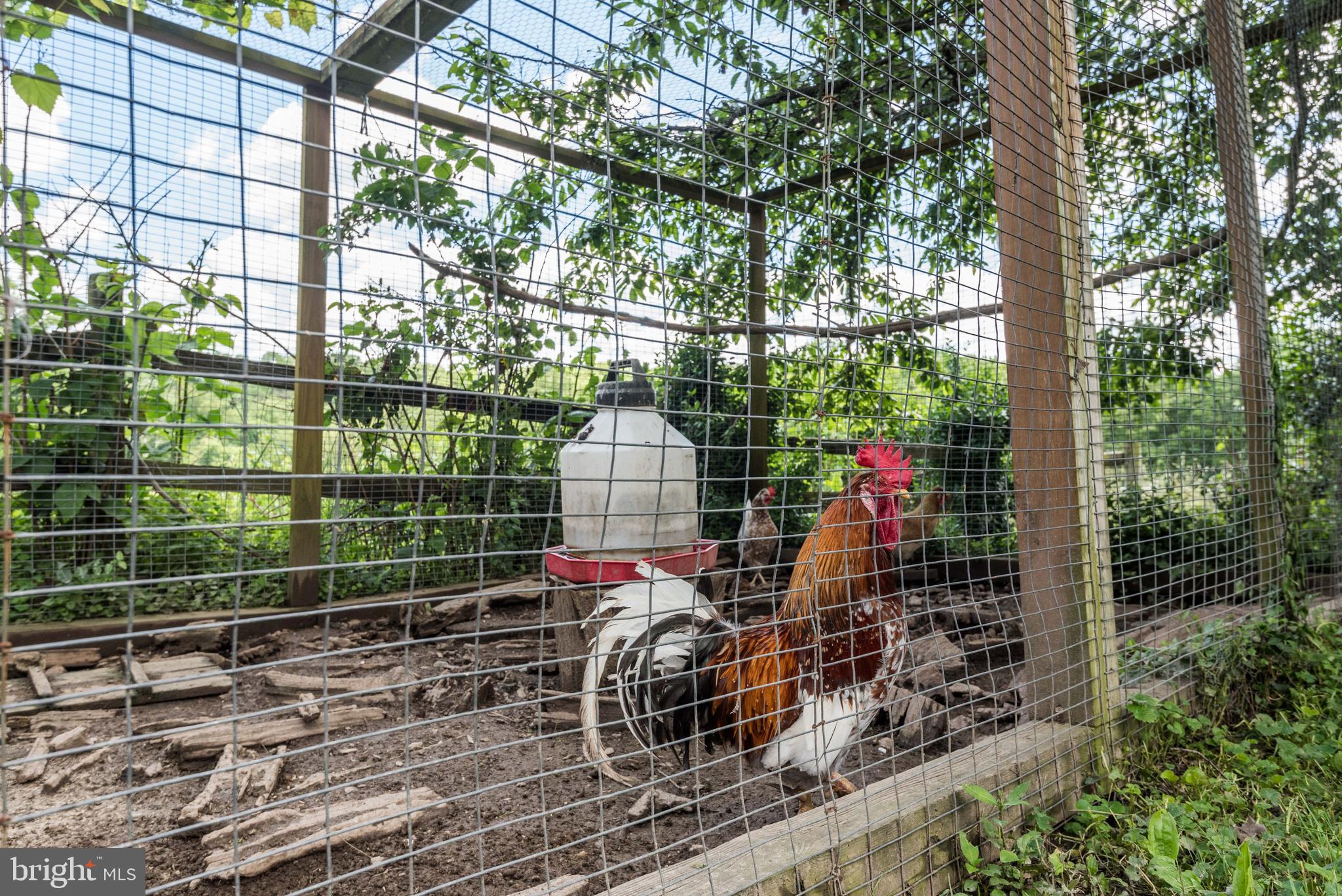 16120 Barnesville Road Boyds, MD 20841 - Photo 92 of 126