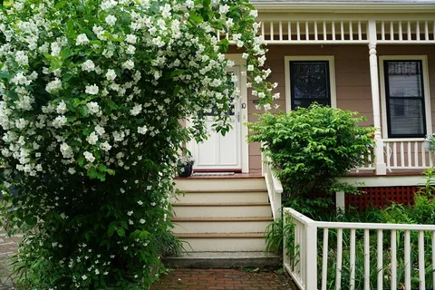 $1,049,000 | 10 Mountain Avenue, Somerville, MA 02143