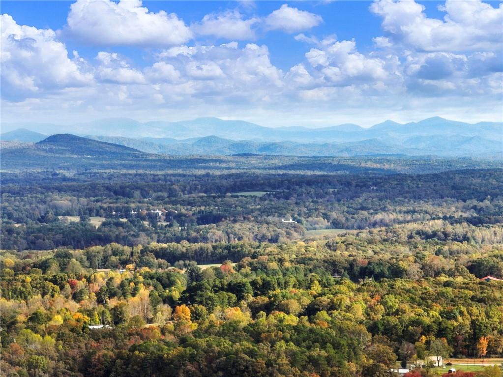 849 Blacksnake Road Mount Airy, GA 30563 - Photo 48 of 68