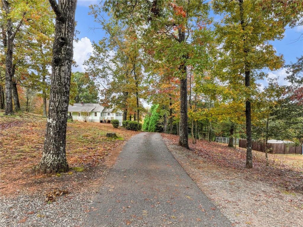 849 Blacksnake Road Mount Airy, GA 30563 - Photo 52 of 68 a view of road with trees