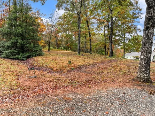 $675,000 | 849 Blacksnake Road, Mount Airy, GA 30563