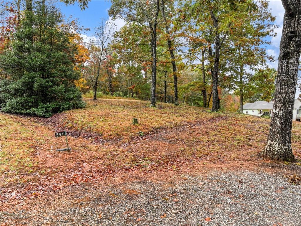 849 Blacksnake Road Mount Airy, GA 30563 - Photo 53 of 68 a backyard of a house with large trees
