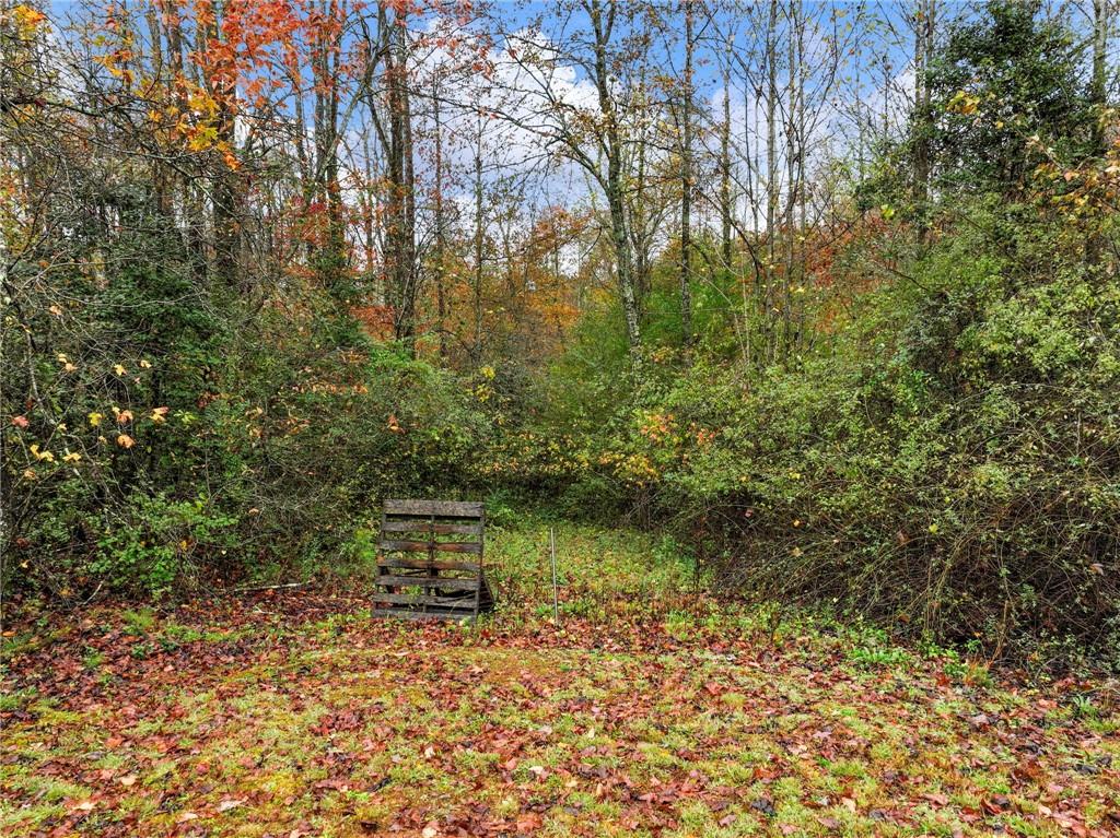 849 Blacksnake Road Mount Airy, GA 30563 - Photo 57 of 68 a backyard of a house with lots of green space and chair